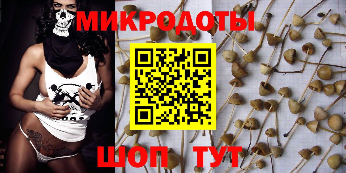 Галлюциногенные грибы Psilocybe  Вход с VPN  Галлюциногенные грибы Cubensis  Асбест 