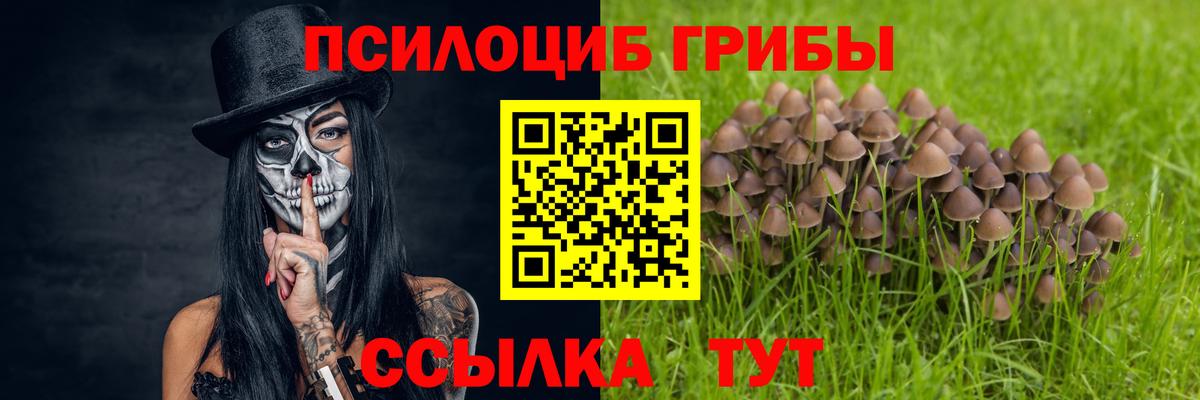 Галлюциногенные грибы ЛСД Асбест